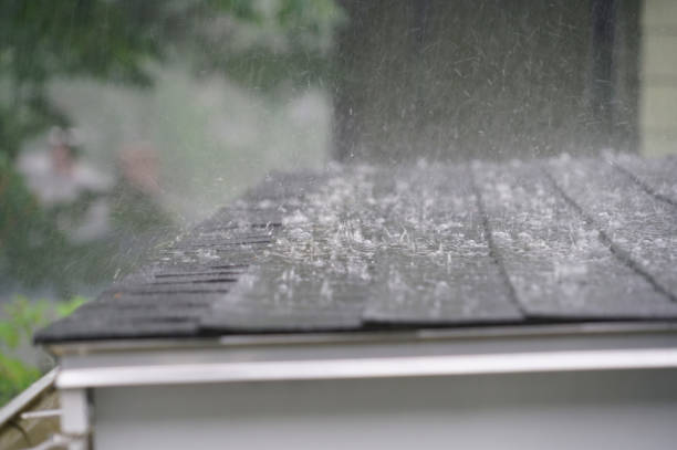 Best Roof Maintenance and Cleaning  in Washington, IL